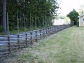 Flatön gärdesgård.JPG